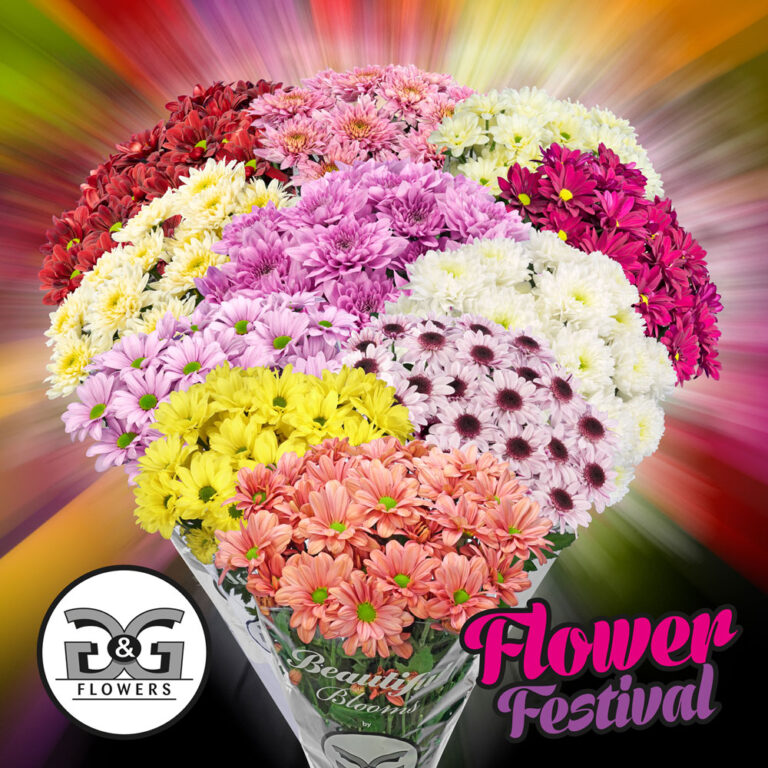 G&G Flowers Flower Festival