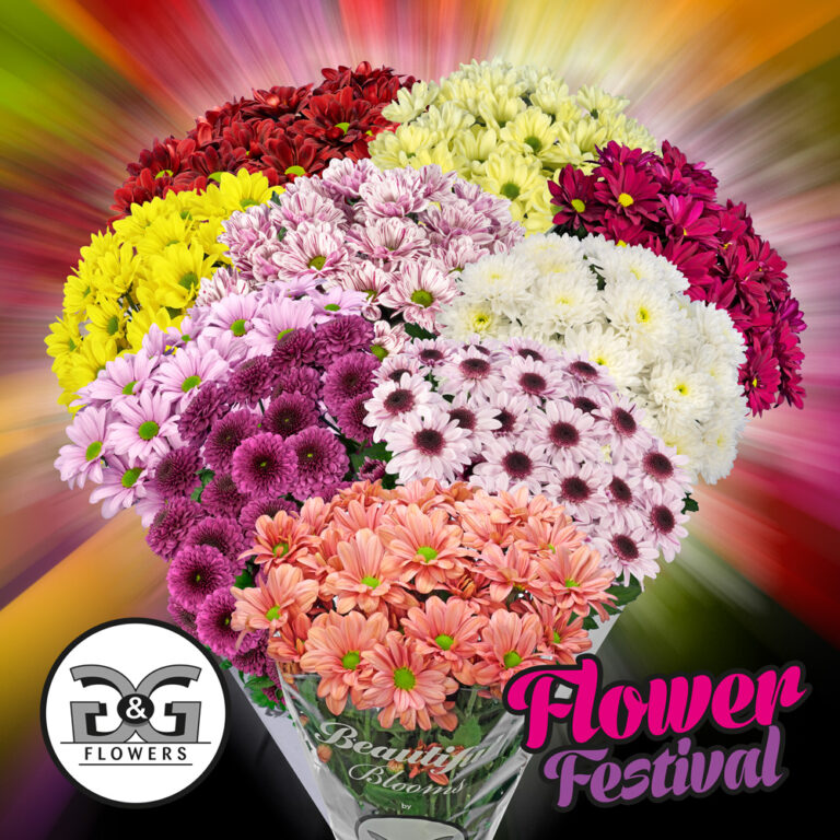 G&G Flowers Flower Festival